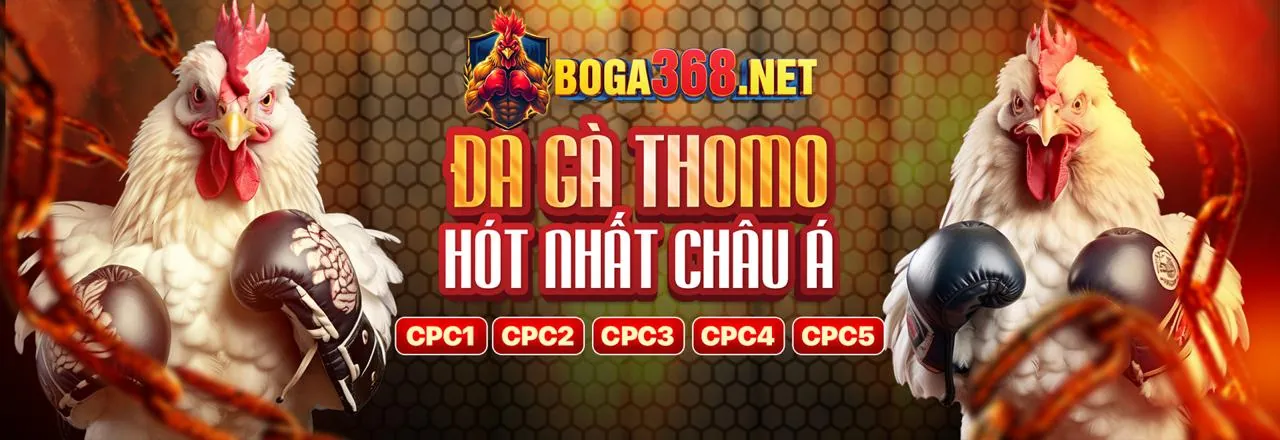 Đá gà trực tuyến tại New88